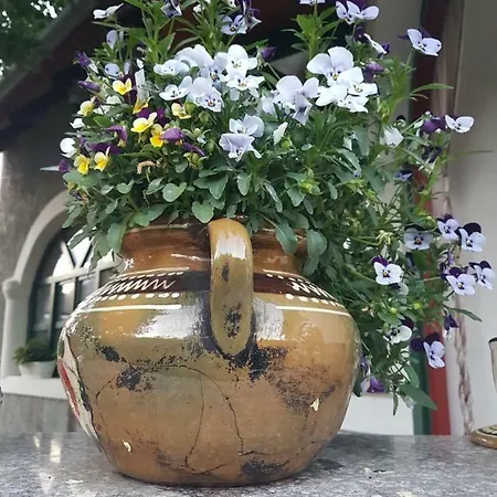 Gæstehus Fruzsi Vendeghaz