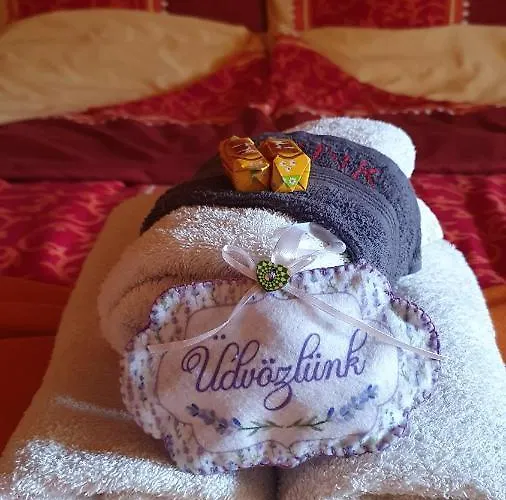 Pensionat Fruzsi Vendeghaz