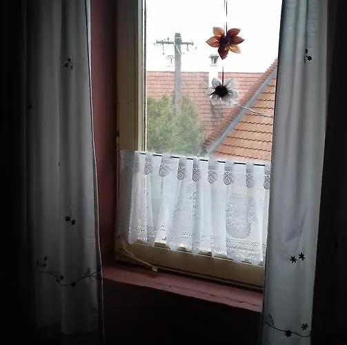 Fruzsi Vendeghaz Pensionat 3*