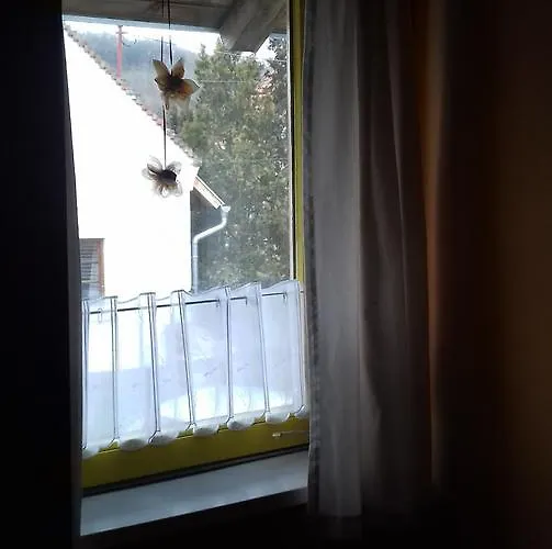 Fruzsi Vendeghaz בית הארחה