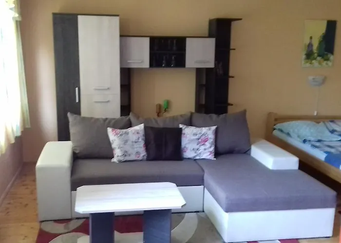 Fruzsi Vendeghaz Pensionat