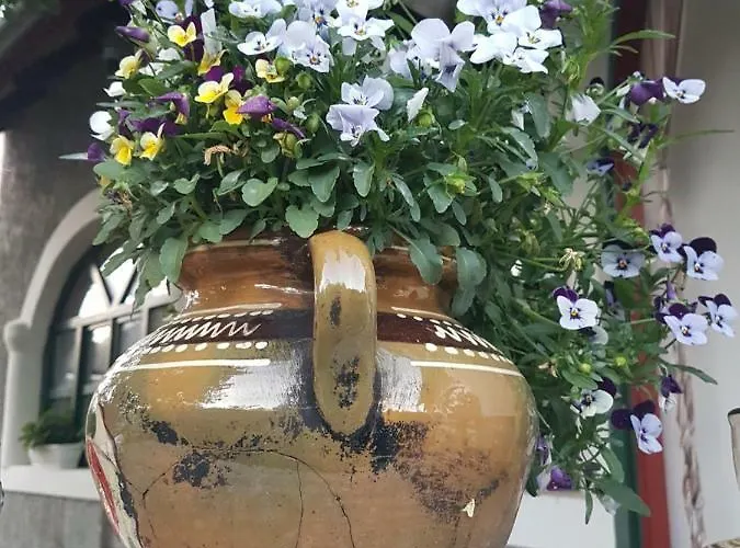 Pensionat Fruzsi Vendeghaz